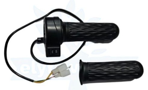 THROTTLE [PLS ES] (0587)