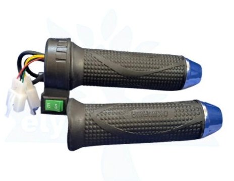 THROTTLE [OKWAWA ORGNL ES] (0179)