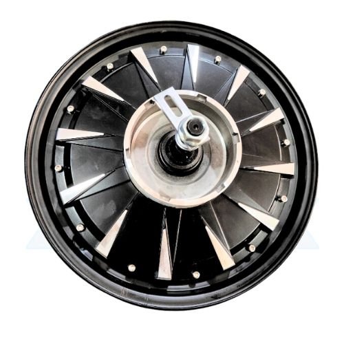 MOTOR 12 INCH 1000W DRUM (48/60V) (06c6)