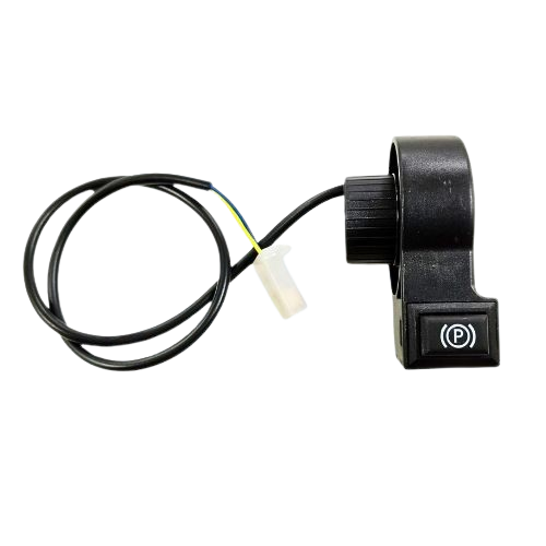 THROTTLE SWITCH [TS1 PARK] (0102)